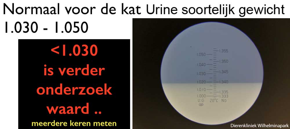 Kat soortelijk gewicht van de urine